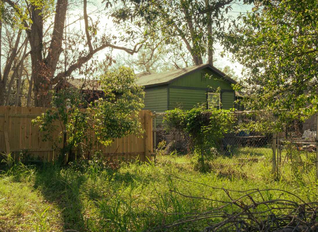 An overgrown backyard with tall grass and brush along a fence