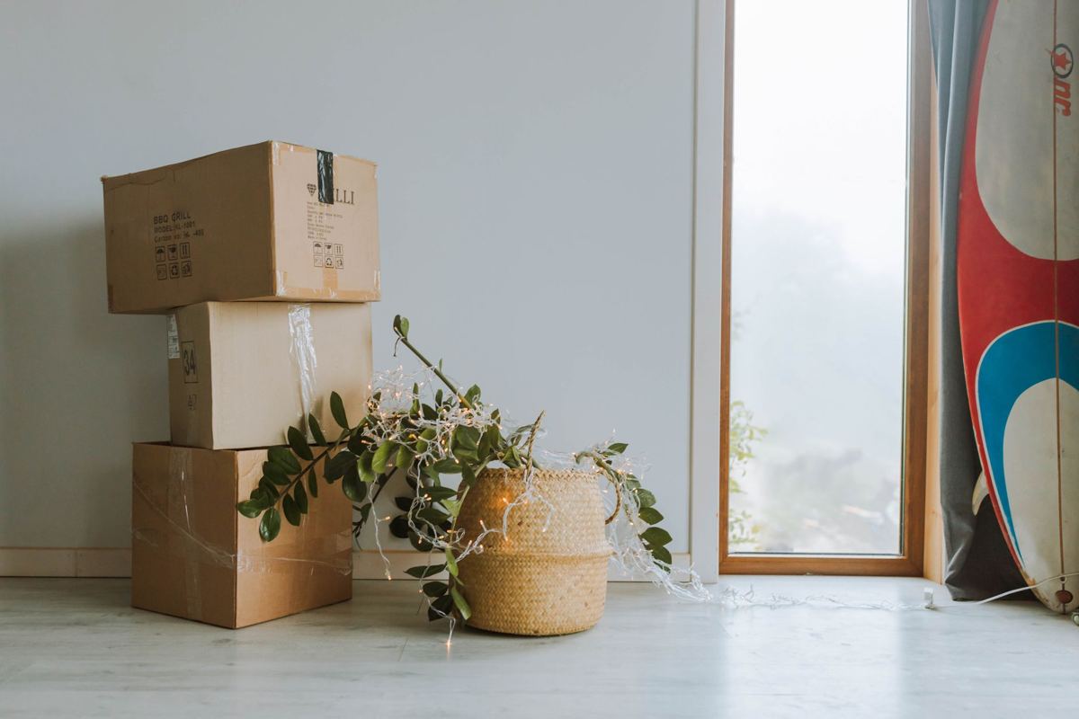 Moving boxes stacked by a window next to a potted plant