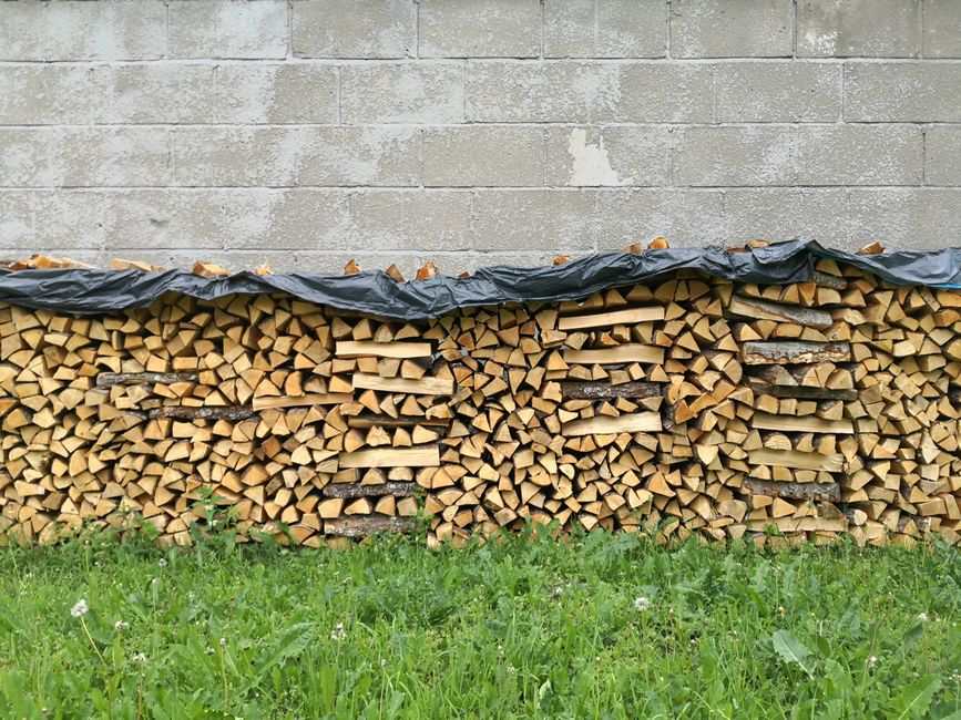 a stack of split firewood under a tarp against a concrete wall with grass in front